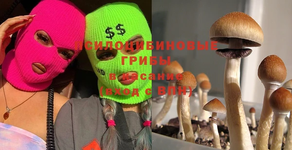 винт Покровск
