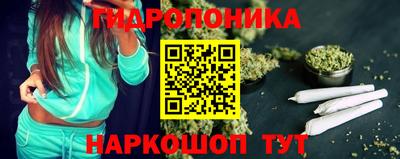 молекула духа Гатчина