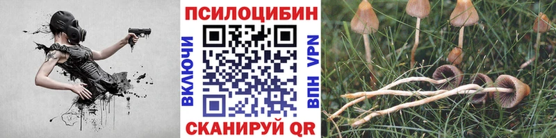 Галлюциногенные грибы GOLDEN TEACHER  где найти наркотики  Казань 