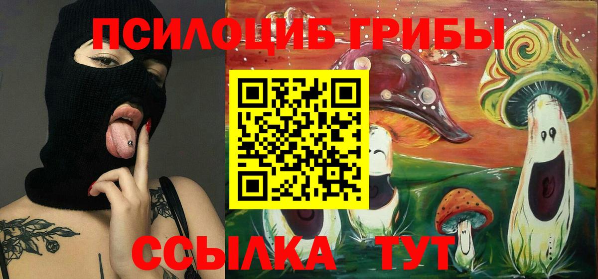 Псилоцибиновые грибы прущие грибы  Псилоцибиновые грибы Psilocybine cubensis  Вход с VPN  Казань 